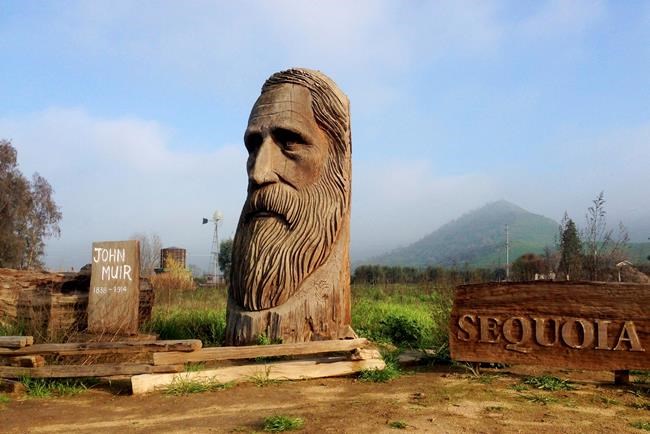 Sierra Club apologizes for founder John Muir's racist views | iNFOnews.ca