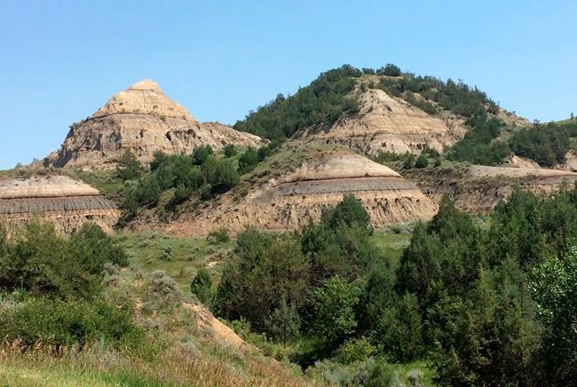 CP1724398348