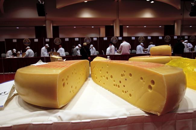 Swiss gruyere named best in world cheese competition | iNFOnews.ca CP681179822