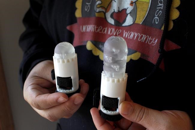 Wisconsin university helps cat get new back legs | iNFOnews.ca