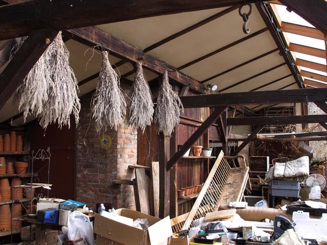 Famed Connecticut herbalist's widower ordered off farm | iNFOnews.ca