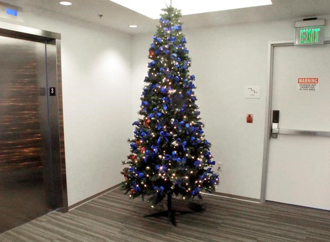 Tree campaign fails to slow city's impaired driving trend | iNFOnews.ca Tree campaign fails to slow city's impaired driving trend | iNFOnews.ca