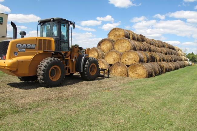 Getting drought-relief hay to Northern Plains no easy task | iNFOnews.ca