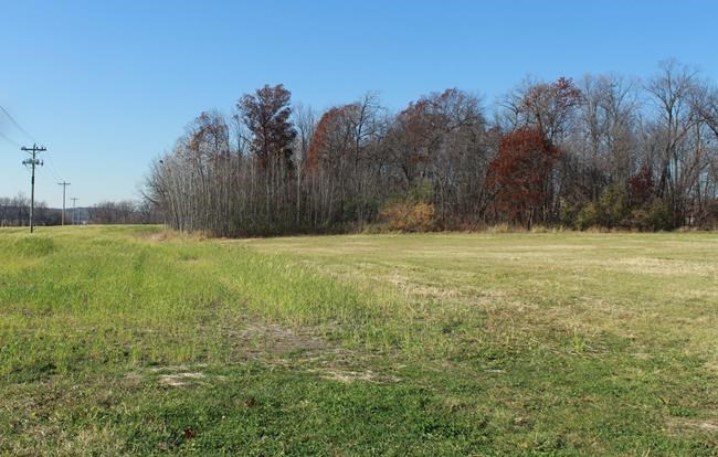 Investigators' persistence leads to break in abduction case | iNFOnews.ca