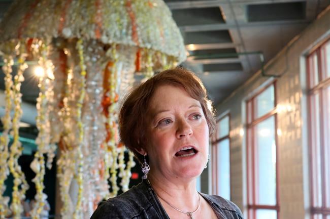 Huge sea-life sculptures made from ocean's plastic trash | iNFOnews.ca
