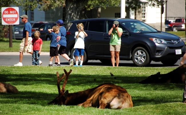 Visitor misbehaviour abounds as US parks agency turns 100 | iNFOnews.ca