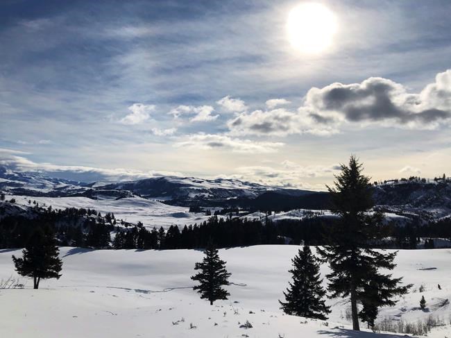 Appeals grow to close US national parks during pandemic | iNFOnews.ca