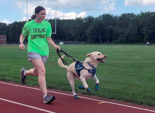 Guide dogs helping blind runners stay fit despite pandemic | iNFOnews.ca
