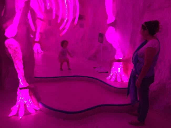 Arts startup Meow Wolf sells out small equity offerings | iNFOnews.ca Arts startup Meow Wolf sells out small equity offerings | iNFOnews.ca
