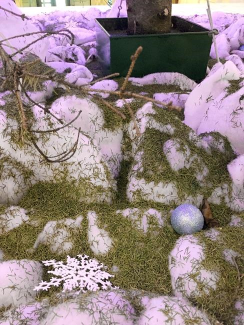 10 days before Christmas, Statehouse tree drops its needles | iNFOnews.ca