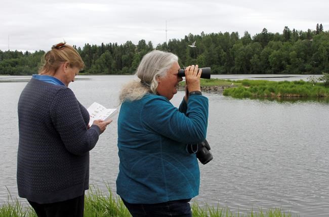 Back-to-back Alaska fatal black bear maulings seen as flukes | iNFOnews.ca