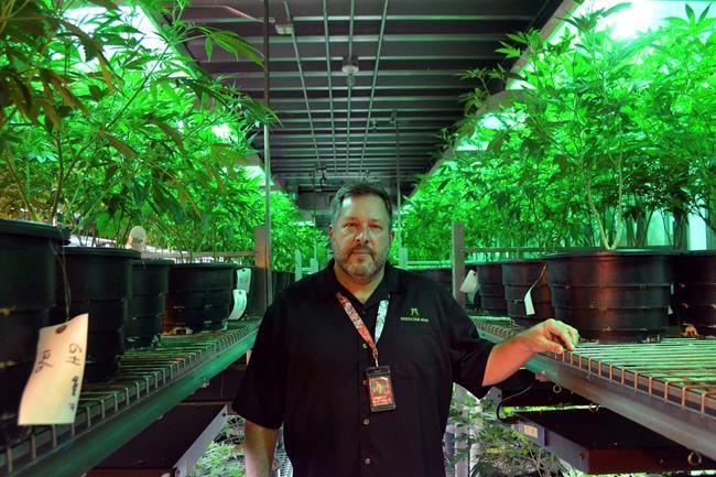 Marijuana investors skittish after Sessions' shot at pot | iNFOnews.ca Marijuana investors skittish after Sessions' shot at pot | iNFOnews.ca