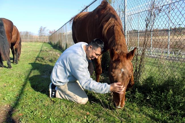 Veterans in Connecticut prison getting help from horses | iNFOnews.ca