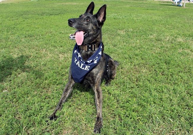 Former Navy SEAL enters Yale as a 52-year-old freshman | iNFOnews.ca