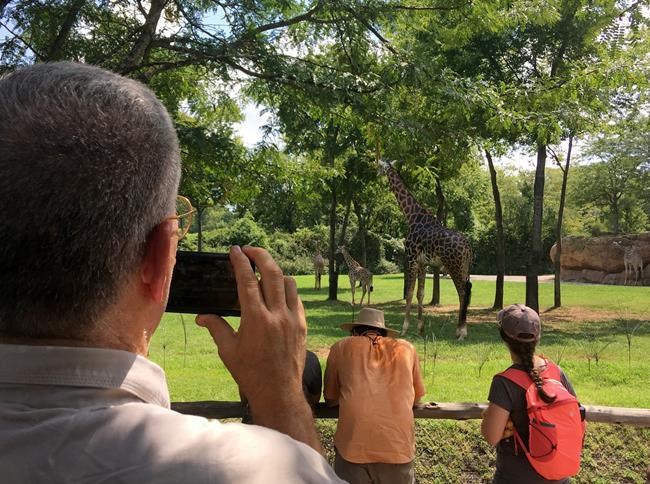 Eclipse science: From galloping giraffes to solar wisps | iNFOnews.ca