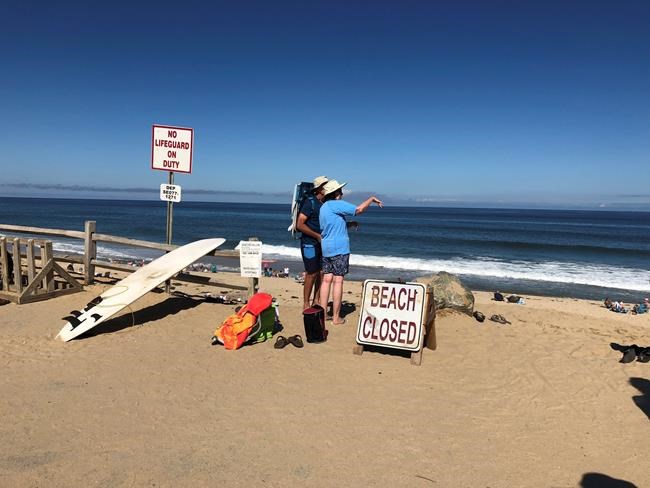 Shark attack victim was engineering student, outdoorsman | iNFOnews.ca