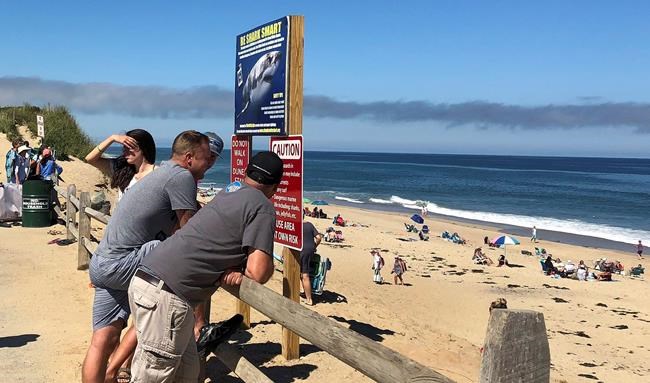 Police: Man dies after shark attack off Cape Cod | iNFOnews.ca