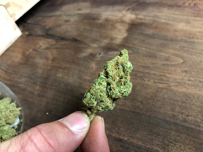 Oklahoma quickly becoming medical marijuana hotbed | iNFOnews.ca