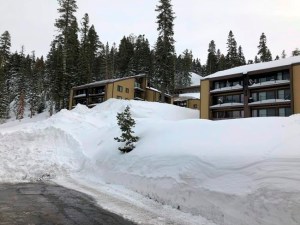 CP1542476949
