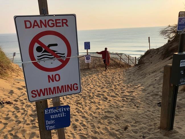 Was a great white shark to blame for Cape Cod attack? | iNFOnews.ca CP1708347394