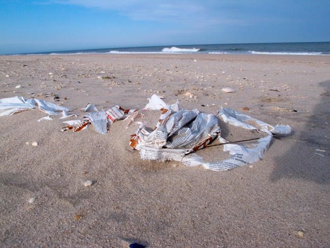 Mower, tooth in a box, Vishnu doll in New Jersey beach trash | iNFOnews.ca CP230673135