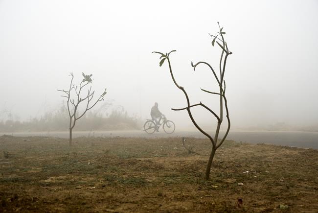 Dense fog disrupts travel in New Delhi and northern India | iNFOnews.ca