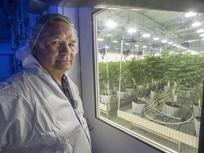 Tax and licensing issues standing in the way of Indigenous cannabis entrepreneurs | iNFOnews.ca Tax and licensing issues standing in the way of Indigenous cannabis entrepreneurs | iNFOnews.ca