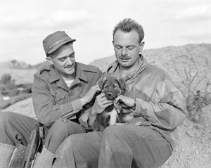 '28 Heroes' focuses on exploits of Canadian Korean War platoon beset by battalion | iNFOnews.ca CP25836160