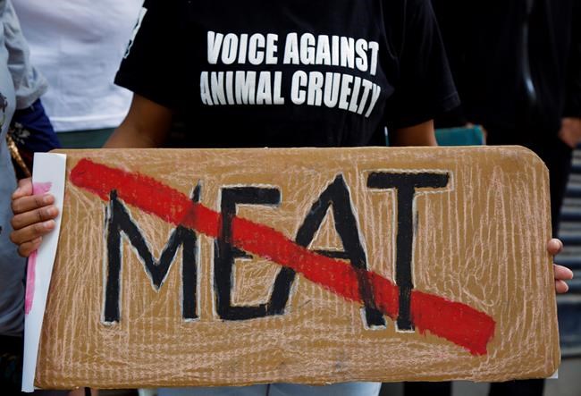 Groups hope to stop animal sacrifices during Nepal festival | iNFOnews.ca