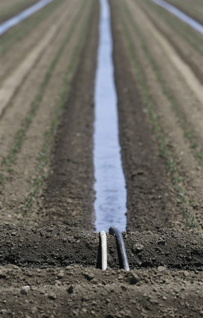 California orders broadest cuts on record for farmers with some of strongest water rights | iNFOnews.ca California orders broadest cuts on record for farmers with some of strongest water rights | iNFOnews.ca