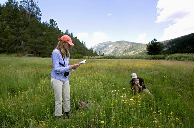 'Secret garden' filled with rare species open after century | iNFOnews.ca