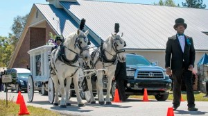 CP186268072