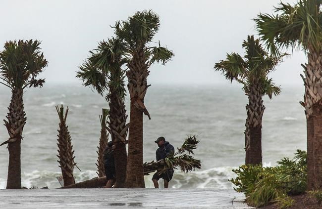 Bertha forms, hits South Carolina coast, dissipates in a day | iNFOnews.ca Bertha forms, hits South Carolina coast, dissipates in a day | iNFOnews.ca