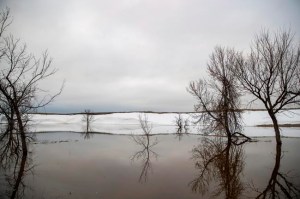 CP1664633417
