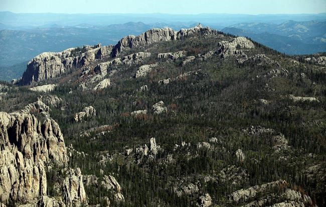 CP1875181611