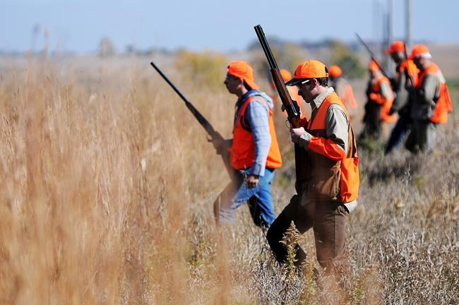 Poor Dakotas pheasant seasons could impact states' economies | iNFOnews.ca