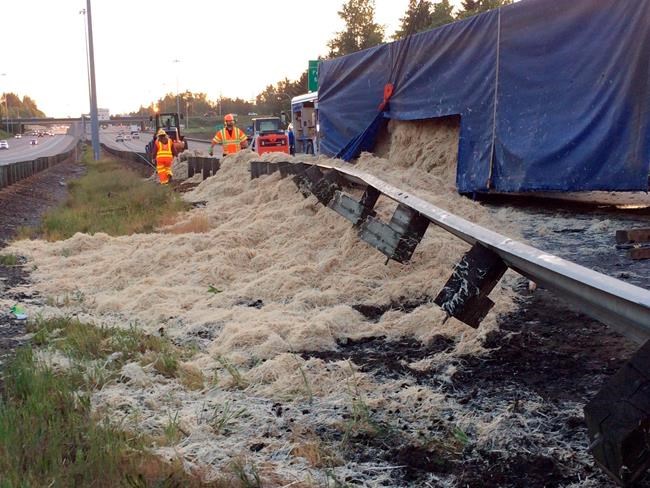 Truck dumps 40,000 pounds of chicken feathers on highway | iNFOnews.ca Truck dumps 40,000 pounds of chicken feathers on highway | iNFOnews.ca