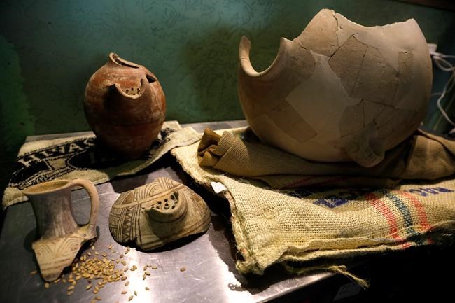 Israeli scientists brew beer with revived ancient yeasts | iNFOnews.ca CP1670910693