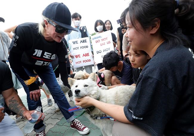 Opposing rallies mark 'dog meat day' in South Korea | iNFOnews.ca CP1618874670