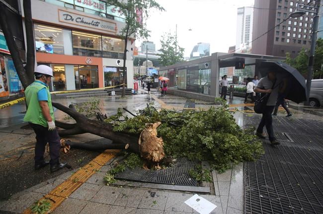 Typhoon kills 5 in North Korea, 3 in South Korea | iNFOnews.ca Typhoon kills 5 in North Korea, 3 in South Korea | iNFOnews.ca