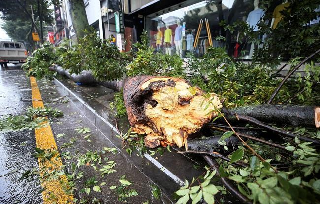 North, South Korea brace for strong typhoon, flights halted | iNFOnews.ca North, South Korea brace for strong typhoon, flights halted | iNFOnews.ca