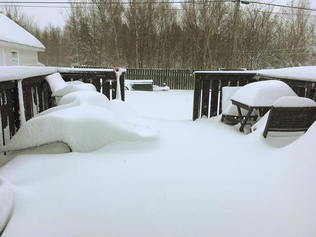 Dismay, disbelief after late-May Newfoundland snowstorm: 'Why? Why? Why?' | iNFOnews.ca Dismay, disbelief after late-May Newfoundland snowstorm: 'Why? Why? Why?' | iNFOnews.ca