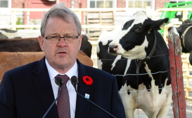 Ottawa to invest $350 million to help dairy producers adjust to CETA | iNFOnews.ca