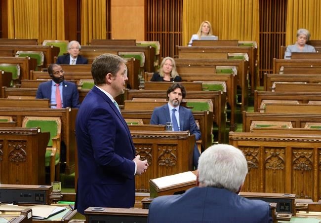 How proceedings in the House of Commons during pandemic differ from normal | iNFOnews.ca