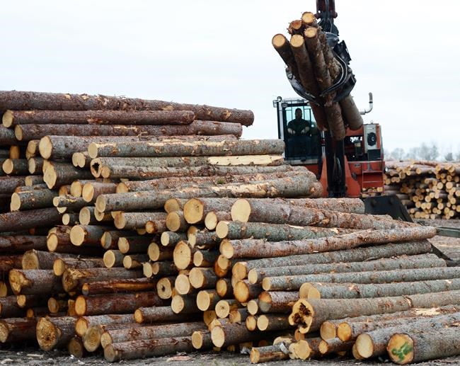 Ontario boosts forestry road funding by $20M in response to softwood tariffs | iNFOnews.ca Ontario boosts forestry road funding by $20M in response to softwood tariffs | iNFOnews.ca