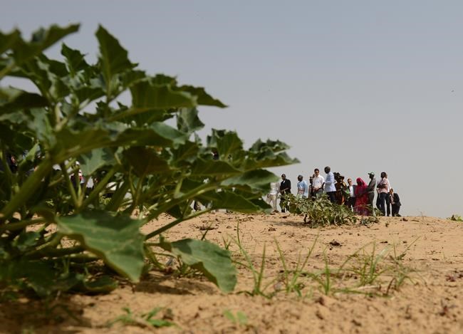 As Africa trip nears end, Trudeau visits farm in Senegal helped by Canadian aid | iNFOnews.ca CP385836603