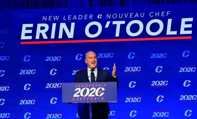 Erin O'Toole wins and the overdose crisis: In The News for Aug. 24 | iNFOnews.ca