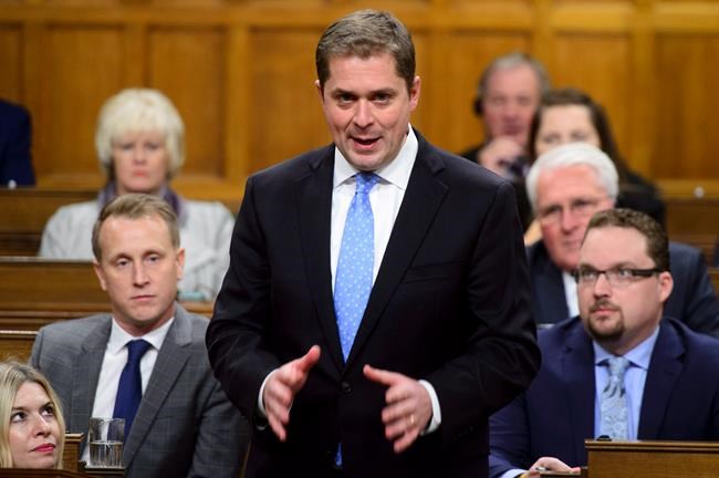 Trans Mountain like Monty Python's dead parrot under Trudeau government: Scheer | iNFOnews.ca Trans Mountain like Monty Python's dead parrot under Trudeau government: Scheer | iNFOnews.ca