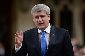 CP31653663