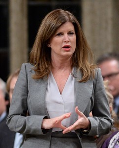 Conservatives cut funding for vaccination education, Liberals charge | iNFOnews.ca